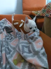 Fleece Vest Suit Coat Jackets Clothing Pet-Dog-Clothes New-Supplies Small Dog Winter