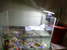 Lighting Aquarium-Lamp Fish-Tank-Light LED High-Brightness Super-Slim Ultra-Thin