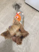 Dog Winter Sweater Pet-Dog Puppy-Cat Knitted Chihuahua for Small Clothing Ropa-Perro