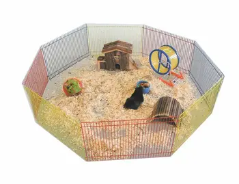 

Rodent Park 8 faces 23X34 CM.
