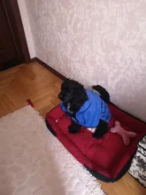 Pet-Bed Puppy Kennel Large Dog Waterproof House Cat-Litter Paw-Print for Four-Seasons