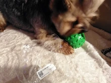 Elasticity Pet Dog Toy Interactive Dog Chew Toy For Dog Tooth Cleaning Ball Food Dispenser