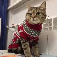 Cute Cat Sweater Costume Winter Warm Pet Clothes Cat Clothing for Cats Katten Kedi Giyim