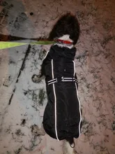 Jackets Dog-Coats Outdoor Winter Pet-Dog Dogs Large Medium for Warm Clothing Kurtka Ubranka