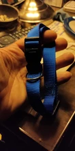 Collar de nailon para perros medianos y pequeños, hebilla de pinza resistente, para Chihuahua, rojo, negro, Azul, Morado, 20