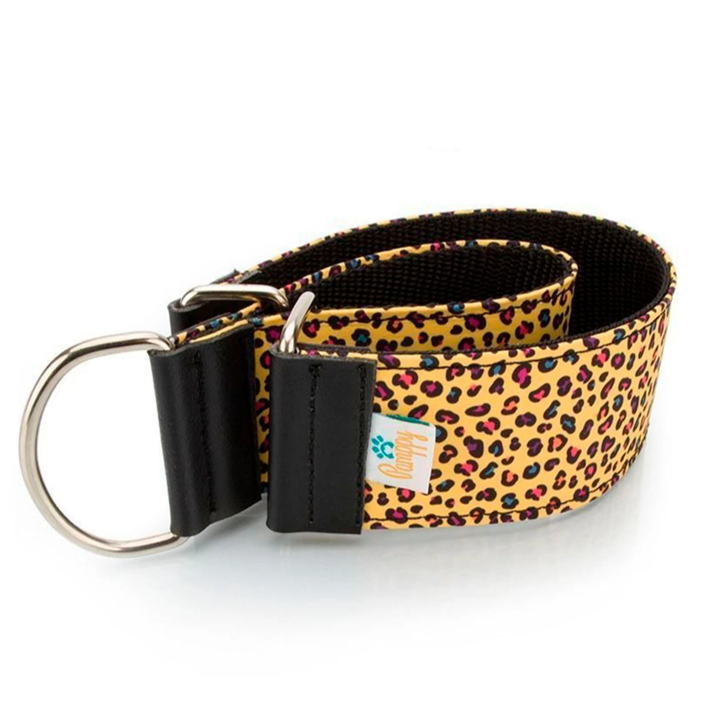 Are Leather Dog Collars Safe