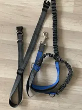 Reflective Leash Traction-Rope Running-Belt Pet-Dog Elastic-Hands Metal Jogging New Pull