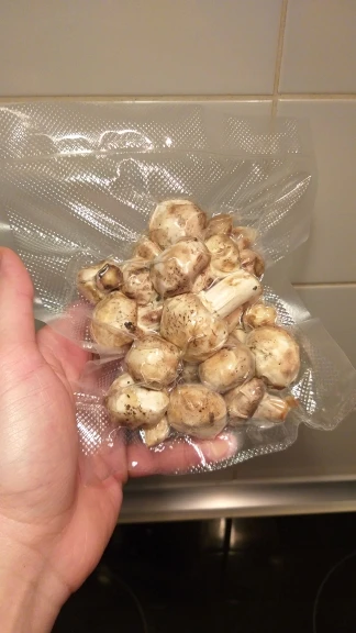 Отзыв о товаре Вакуумный электрический упаковщик пищевых продуктов White Dolphin 220В, 110В с функцией хранение пищи, вакуумная упаковка, вакуумные пакеты 10 шт в комплекте от пользователя K***r