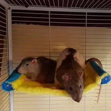 Warm Bird Nest Hammock Parrot Cockatiel Hamster Chinchilla Cage Sleeping Bed