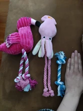 Calamar bonito y pequeño sonido de juguete de perro BB, mascota de peluche, cuerda de perrito, mordedores de juguete con sonido rosa para gato