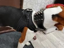 Pet-Dog-Collar Studded Wide-Spikes Doberman Pitbull 3inch for Large Breeds Pitbull/Doberman/M/..