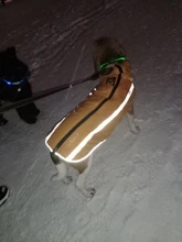 MySudui Medium Big Dog Winter Clothes For Dogs Pets Clothing Reflective Dog Jackets Outdoor