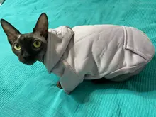 Warm Pet Clothes For Cats Clothing Autumn Winter Clothing for Cats Coat Puppy Outfit