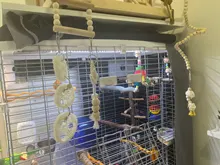 Bird Parrot Toys Cage-Supplies Ladders Perches Cockatiels Wooden Climbing Hanging-Swing-Hammock
