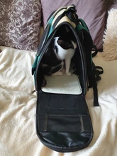 Mochila plegable de alta calidad para transporte de astronauta, bolso de hombro de viaje, mochila para gato y perro, mochila portamascotas