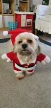 Christmas Pet Dog Cat Costumes Funny Santa Claus Costume For Dogs Cats Winter Warm Dog