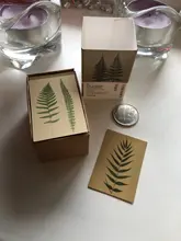 Vintage historia mariposa flores Kraft papel recortes tarjeta/proyecto de diario de LOMO tarjetas