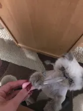 Pill-Gun Syringe Medicine Tablet Pet-Product Push-Dispenser Practical Water Dog Cat Useful