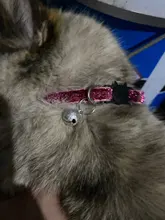 Collar de Gato con cascabel para gato, accesorio ajustable con lentejuelas, accesorios para mascotas, 2021