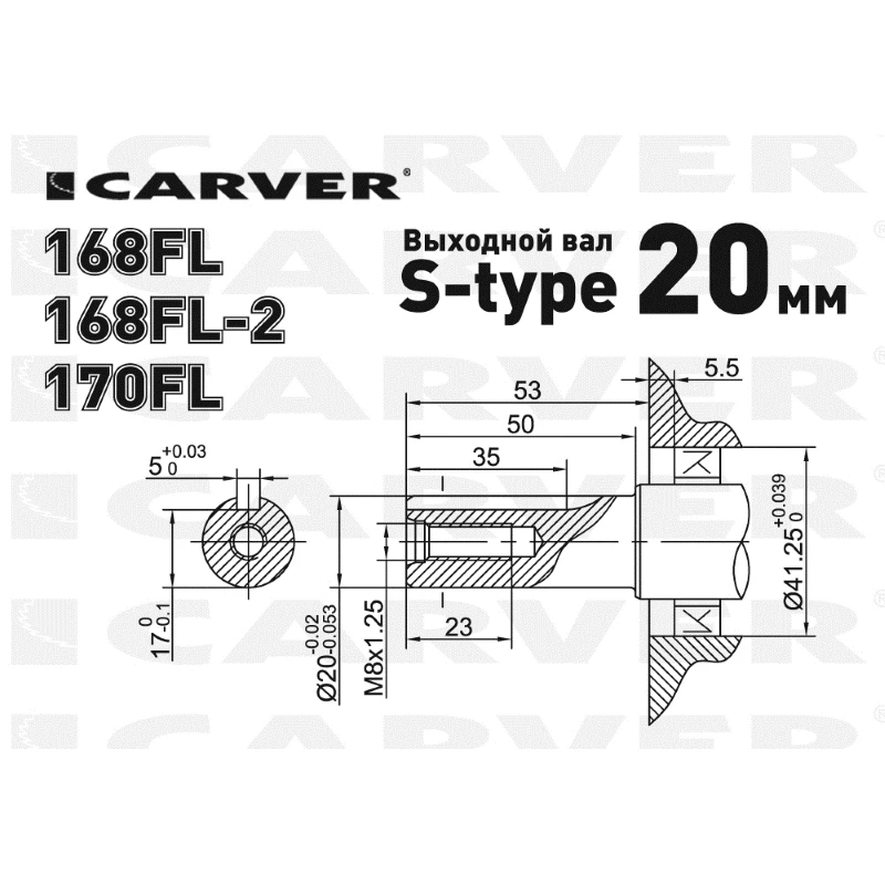 Двигатель CARVER 168FL(бензиновый