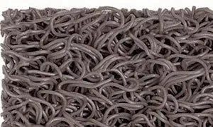 

ML. Mat curls with BASE 1,22 m wide gray