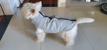 Jacket Vest Puppy-Clothing Pug-Coat Small Dogs Chihuahua Waterproof Winter Teddy Pet-Dog