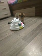 Ball Cat-Toys Play Cat Intelligence Tower-Tracks-Disc Training Amusement-Plate