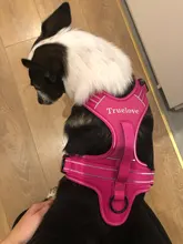 Truelove-Arnés deportivo de nailon reflectante para perros, chaleco con mangos, sin tirones para aventura con mascota al aire libre, 5 colores, tallas XS a XL, en stock en fábrica