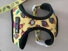 Dog-Harness Leash-Set Pets-Puppy No-Pull Dogs French-Bulldog Small Pug Breathable 