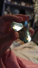 Collar-Accessories Dog-Tag Engraved-Tel Sex-Name-Tag Dogs Kitten Pupp Pet-Dog Stainless-Steel
