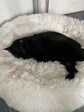 Cushion Nest Sofa Pet-Products Dogs-Basket Cat-House Animals Sleeping Cat Round Plush