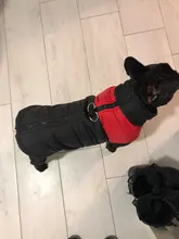 Vest Jacket Pets-Clothing Pug-Coat Puppy Dogs French Bulldog Waterproof Small Winter