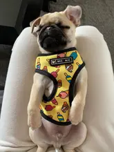 Arnés de Mascota para Bulldog Francés, correas pequeñas y medianas para perros, chaleco de cachorro francés, correa de plomo para perro que camina, productos para mascotas