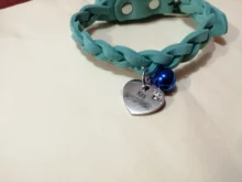 Dog-Collar Engraved Name-Tag Braided Dog Puppy Dogs Small Personalized Free-Bell 