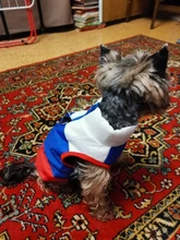 Coat Vest Jacket Yorkie Chihuahua Puppy Outfit Pet-Dog Winter Warm for Windproof Padded
