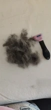 Peine para pelo de mascotas, cepillo para perros y gatos, herramienta de aseo, depilación Furmins, suministros para mascotas gatos