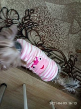 Jacket Dog-Coat Pet-Puppy Yorkshire-Clothing Small Dogs Fleece Chihuahua Warm 