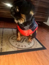 Coat Vest Jacket Puppy Outfit Pet-Dog Yorkie Warm Chihuahua Winter for Windproof Padded