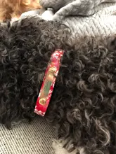 Collar de gato personalizado ID Collar cuero grabado por encargo Nombre del número de teléfono grabado gratis para cachorro Chihuahua 10