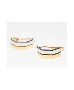 

Two-tone gold earrings