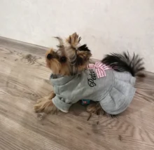 Coat Dress Teddy Poodle-Clothes Puppy Small-Pet Dog Winter Autumn with Letter Bowknot