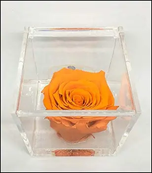 

1066 cube pink fragrant stabilized Orange 6cm 6x6x6, the cube with a real rose that lasts even longer than 5 years,
