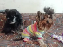 Soft Dog Pajams Fleece Dog Clothing For Dogs Jumpsuits Coat Warm Pet Dog Clothes For