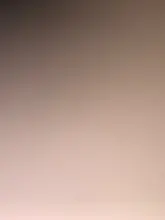 J***t