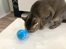 Automatic Smart Cat Toys Ball Interactive Catnip USB Rechargeable Self Rotating Colorful