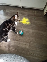 Pet Cat Toys for Cats Kitten Puzzle Interactive Tumbler Swing Self Balance Chasing Toy
