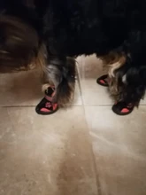 Boots Pet-Shoes Dog Large Waterproof Anti-Skid Small Winter Golden Warm Big 8-Sizes Wear-Resistant