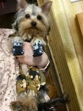 Puppy-Boots Pet-Shoes Lovely Dogs Snow Anti-Slip Zipper Winter Warm Denim Lets Casual