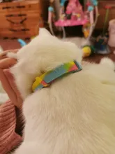 Collar que elimina pulgas y garrapatas para perros y gatos, repelente de mosquitos e insectos, Collar para gatos de pulga y garrapata de hasta 8 meses