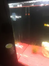 Acrylic Shrimp Feeding Tray Fish Food Feeder Aquarium Fish Tank Feeding Tube